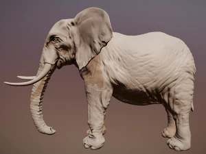 Elephant 3D printable scan 3D Print Model