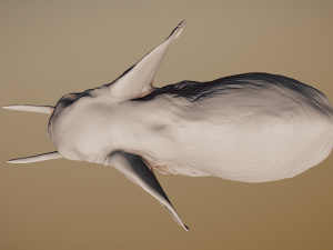 Elephant 3D printable scan 3D 프린트 모델