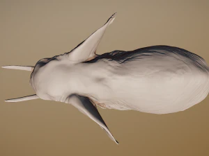 Elephant 3D printable scan 3D Print Model