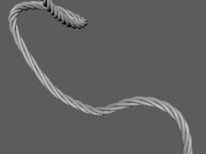 editable rope 3Dモデル