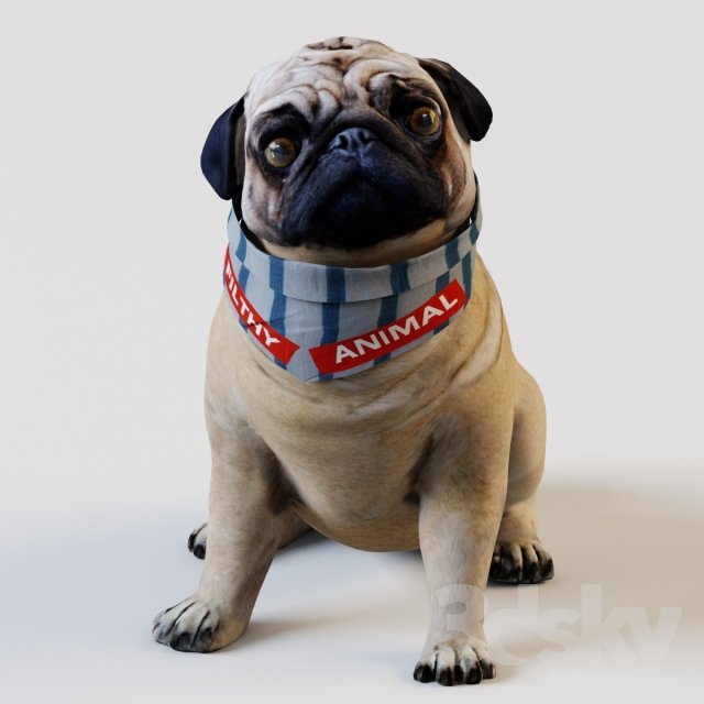 PUG Free 3D Model in Dog 3DExport