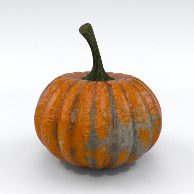 pumpkin 3D-Modell .c4d .max .obj .3ds .fbx .stl .blend 