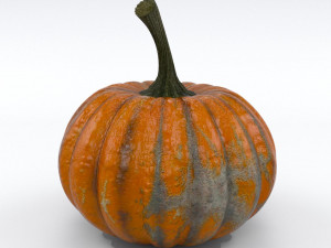 pumpkin 3D मॉडल