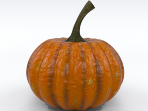 pumpkin 3D-Modell