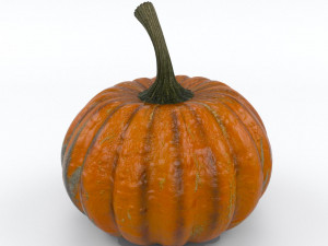 pumpkin 3D-Modell