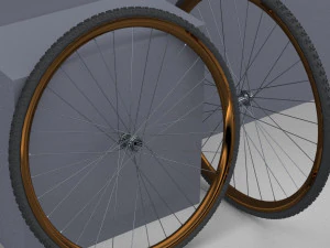 Cerchio di bicicletta con pneumatico fuoristrada Modello 3D