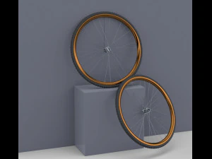 Bicycle rim with tire off-road 3D Model