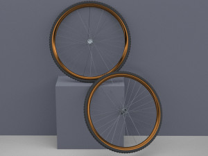 Bicycle rim with tire off-road 3D Модель