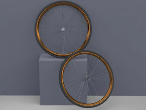Bicycle rim with tire off-road 3D Model