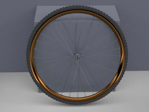 Bicycle rim with tire off-road 3D Model