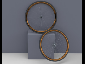 Bicycle rim with tire off-road 3D Модель
