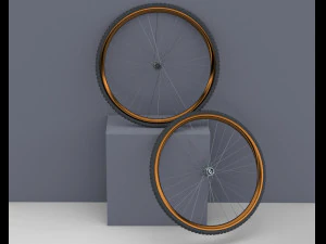 Bicycle rim with tire off-road 3D Model