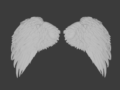 Angel Wings 3D Model