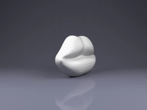 brooch lips 3D Print Model