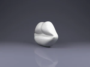 brooch lips 3D Print Model