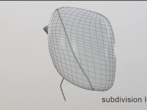 human liver 3D Model