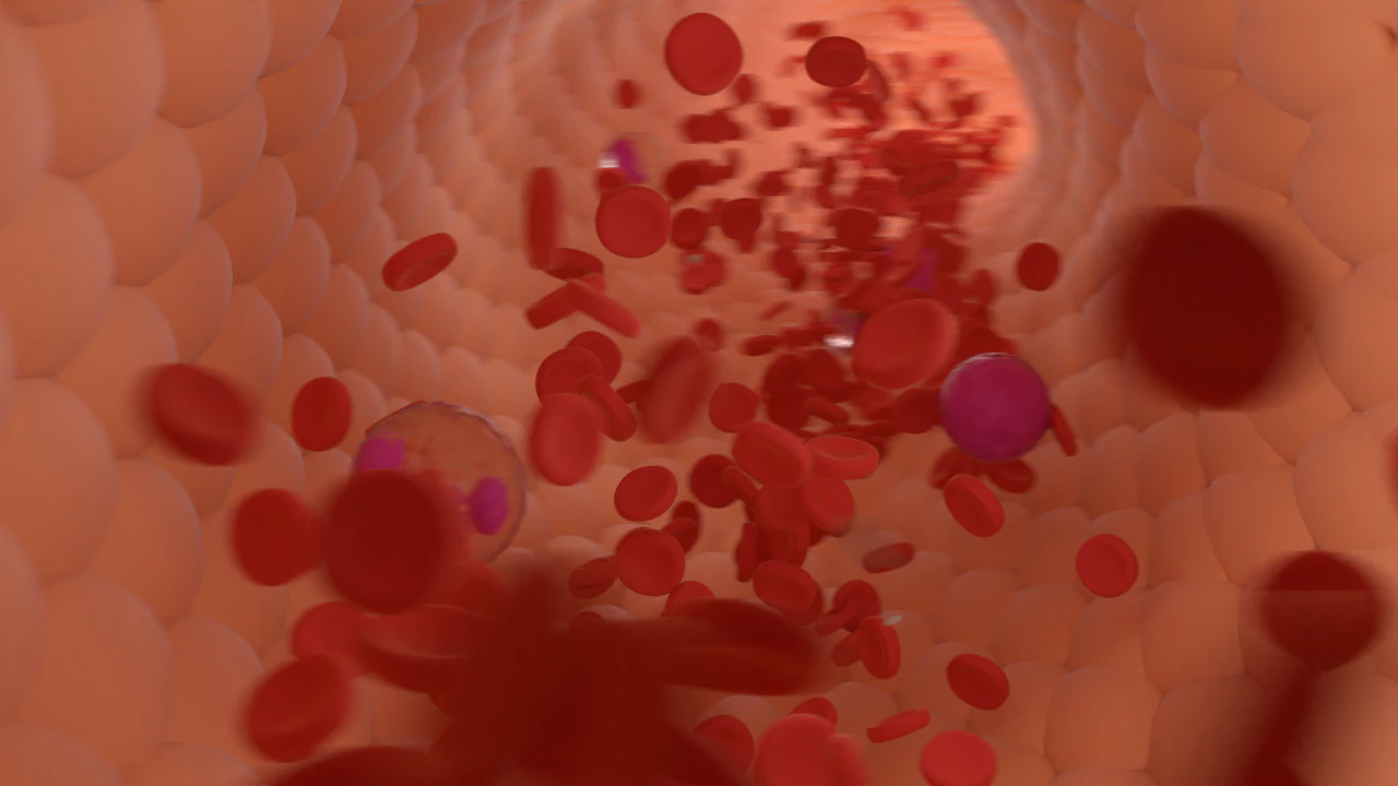 bloodstream 3D Model .c4d .max .obj .3ds .fbx .stl .blend 