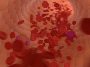 bloodstream Modelo 3D