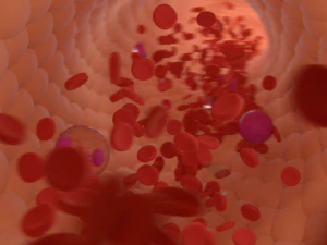 corrente sanguínea Modelo 3D