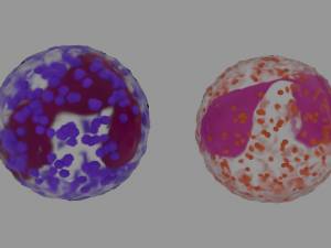 bloodstream Modelo 3D