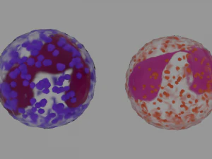 bloodstream 3D Model