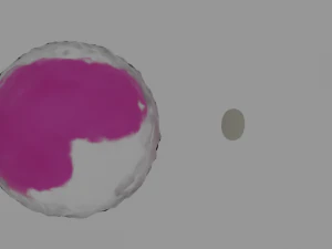 bloodstream 3D Model