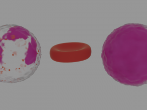 bloodstream Modelo 3D
