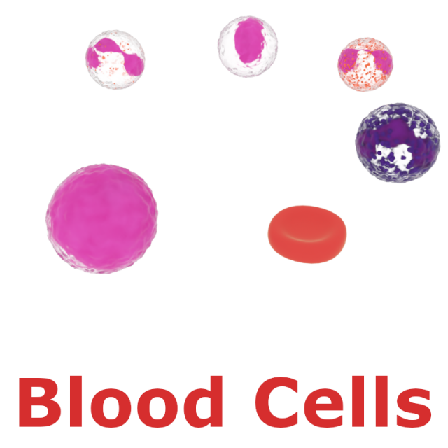 blood cells 3Dモデル .c4d .max .obj .3ds .fbx .stl .blend 