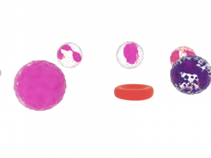 blood cells 3Dモデル