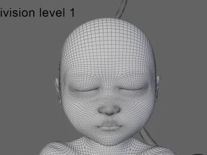 human fetus 3D Model