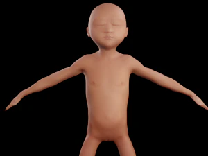 human fetus 3D Model