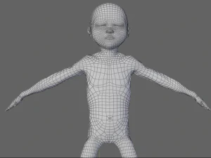 human fetus 3D Model