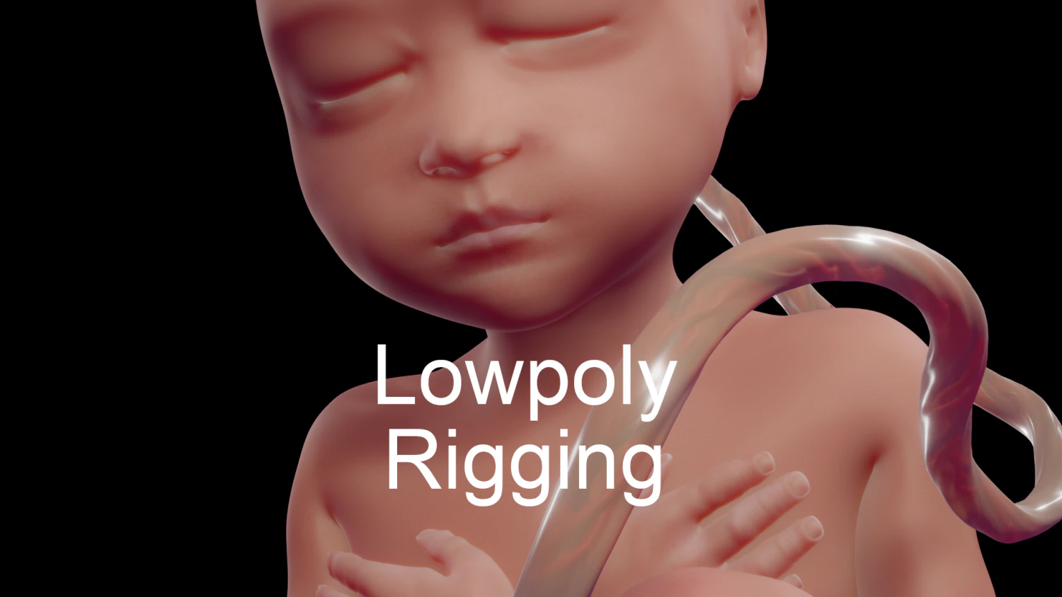 human fetus 3D Model .c4d .max .obj .3ds .fbx .stl .blend 