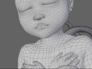 human fetus 3D Model