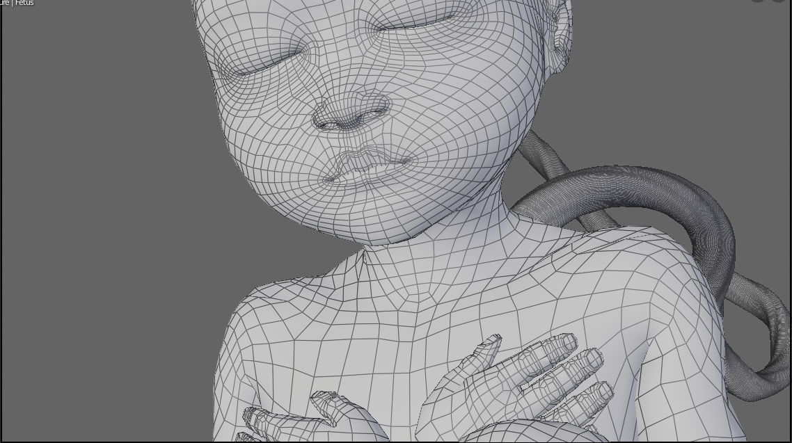 Human Fetus 3d Model In Child 3dexport