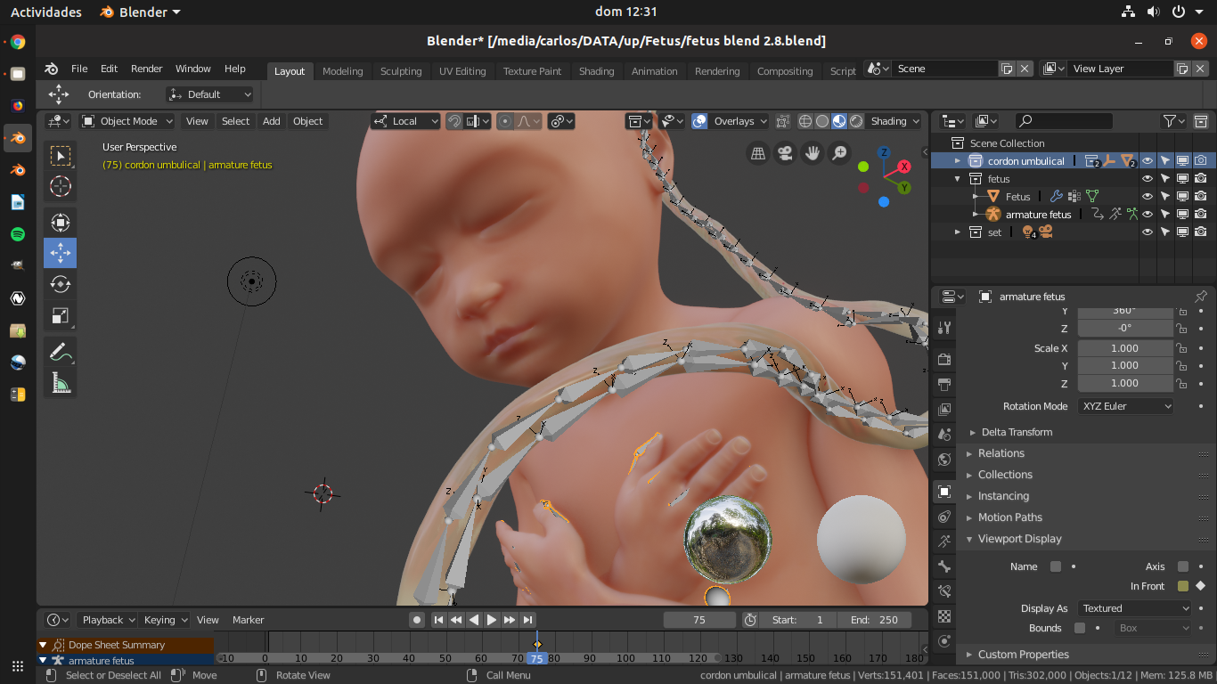 Human Fetus 3d Model In Child 3dexport