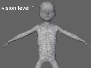human fetus 3D Model