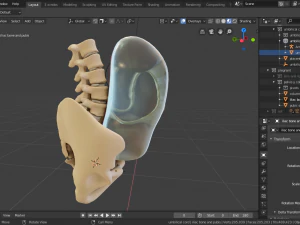 gr&aacute;vida e feto Modelo 3D