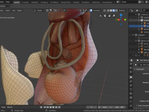 gr&aacute;vida e feto Modelo 3D