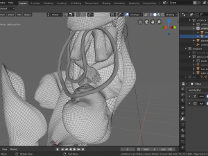 pregnant and fetus 3D-Modell
