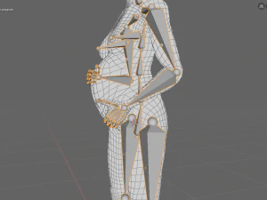 gr&aacute;vida e feto Modelo 3D