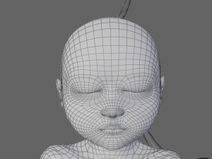 pregnant and fetus 3D-Modell