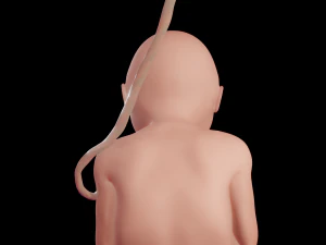 gr&aacute;vida e feto Modelo 3D