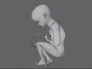 pregnant and fetus 3D-Modell