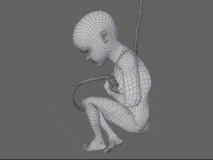 gr&aacute;vida e feto Modelo 3D