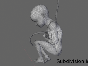 pregnant and fetus 3D-Modell