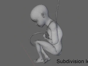 gr&aacute;vida e feto Modelo 3D