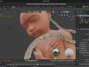gr&aacute;vida e feto Modelo 3D