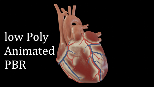human heart 3D Model .c4d .max .obj .3ds .fbx .stl .blend 