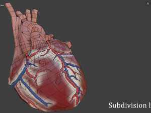 human heart 3D Model